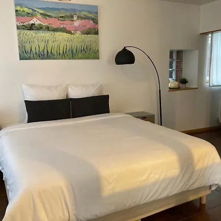 Parenthese Alsacienne Apartment *
