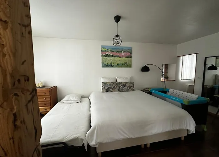 Apartament Parenthese Alsacienne